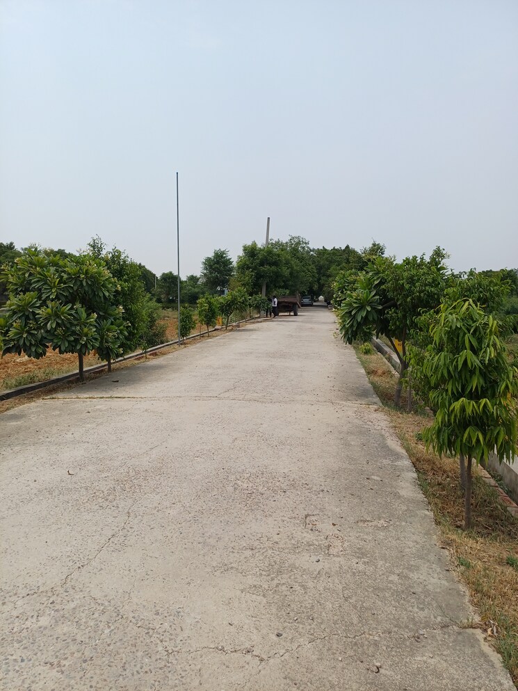 Exterior View, jewar  240 Sq.Yd. Plot In Jewar Greater Noida 8878134