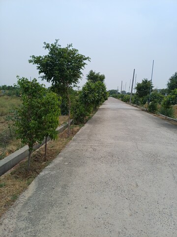  Plot – Exterior View View at Jewar - for Sale