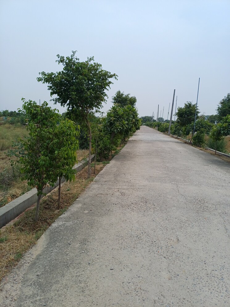 Exterior View, jewar  240 Sq.Yd. Plot In Jewar Greater Noida 8878134