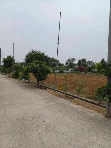  Plot For Sale in Jewar