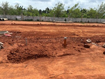 Plot Area in  Plot at Vidya Nagar – for Sale