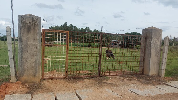 Exterior View, bagaluru  239580 Sq.Ft. Plot In Bagaluru Bangalore 8878179