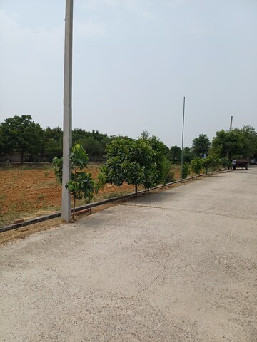  Plot For Sale in Jewar