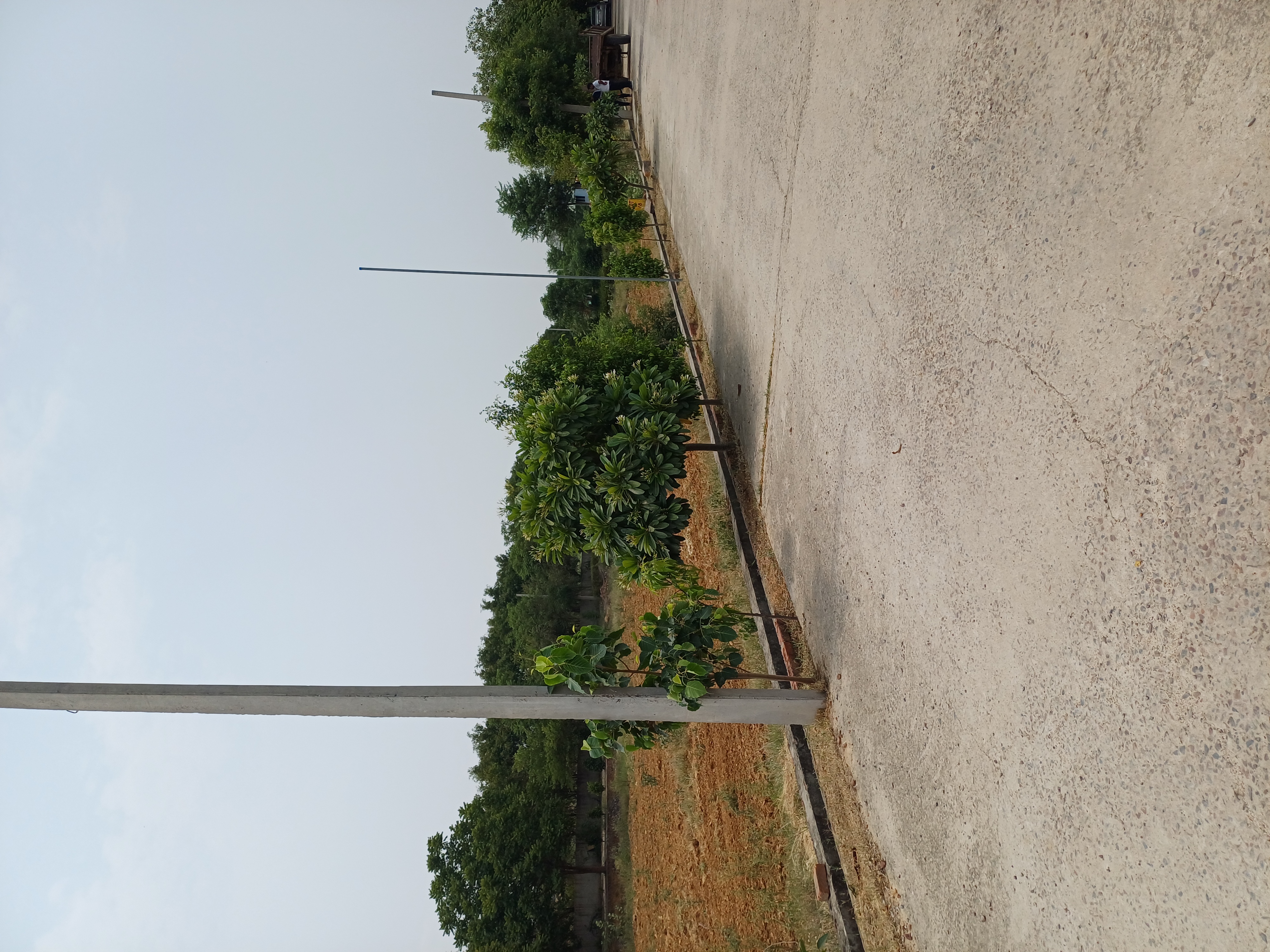 Plot For Sale in Harit City 