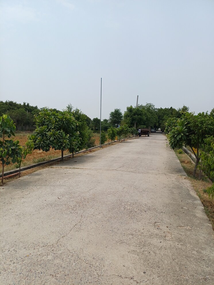 undefined, jewar  241 Sq.Yd. Plot In Jewar Greater Noida 8878235