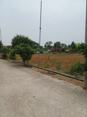  Plot – Exterior View View at Jewar - for Sale