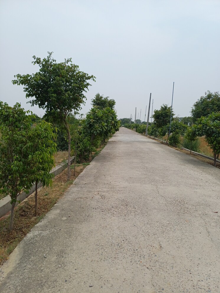 Exterior View, jewar  241 Sq.Yd. Plot In Jewar Greater Noida 8878235