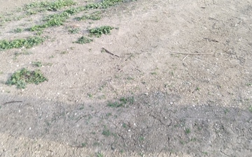 Plot For Sale in Manish Nagar