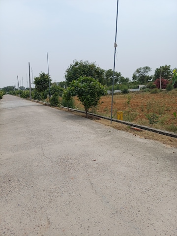  Plot – Exterior View View at Jewar - for Sale