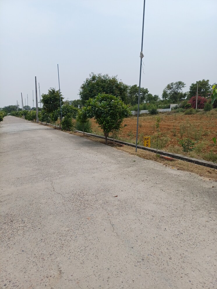 Exterior View, jewar  242 Sq.Yd. Plot In Jewar Greater Noida 8878261