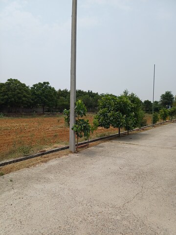  Plot – Exterior View View at Jewar - for Sale