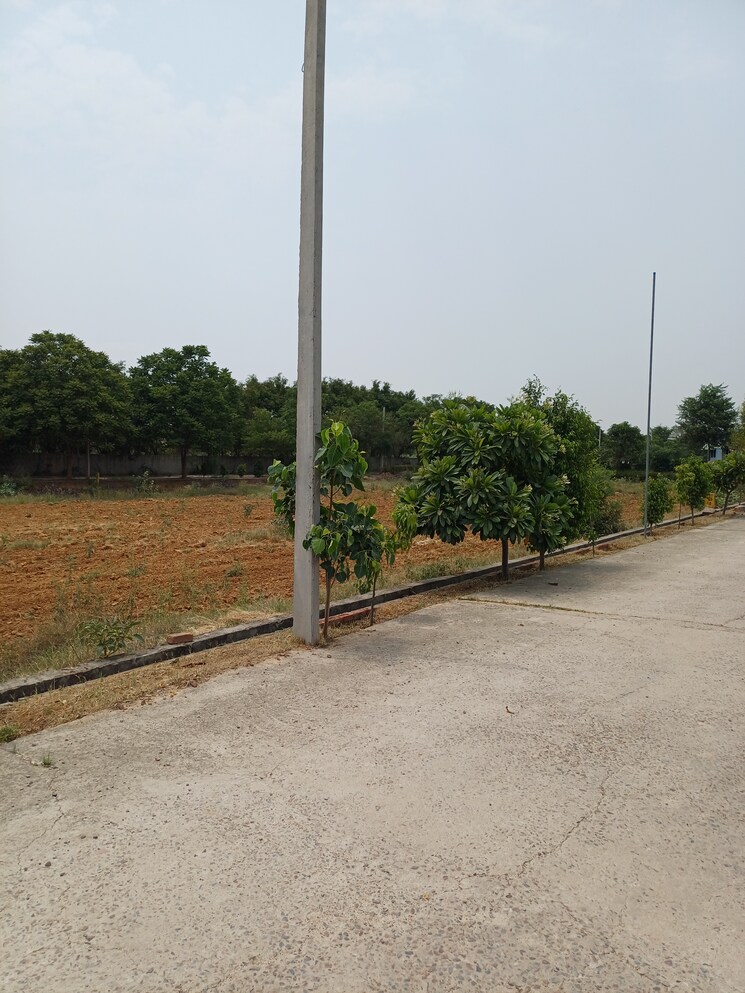 Exterior View, jewar  242 Sq.Yd. Plot In Jewar Greater Noida 8878261