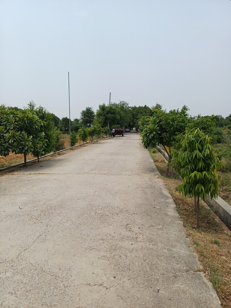 Exterior View, jewar  242 Sq.Yd. Plot In Jewar Greater Noida 8878261