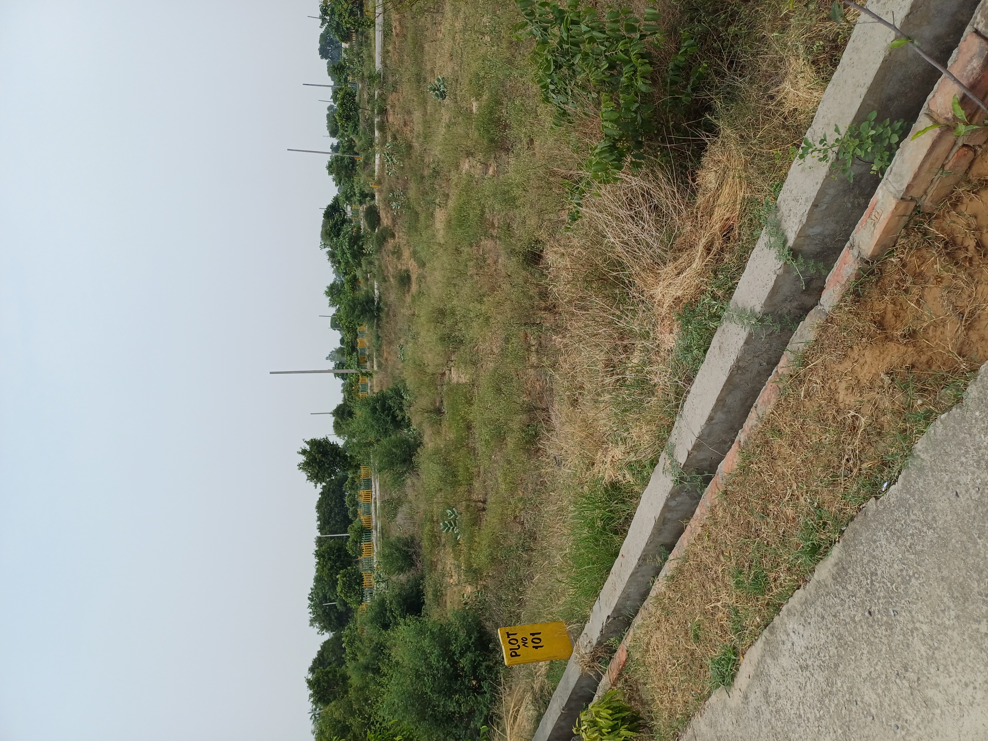 Plot For Sale in Harit City 