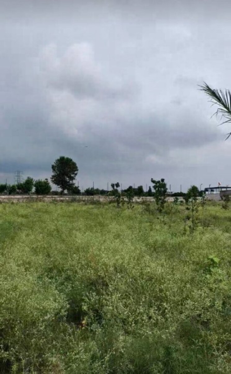 undefined, badripur  150 Sq.Yd. Plot In Badripur Dehradun 8876874