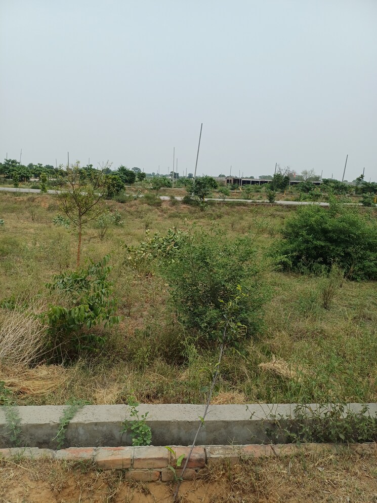 Garden, jewar  243 Sq.Yd. Plot In Jewar Greater Noida 8878316