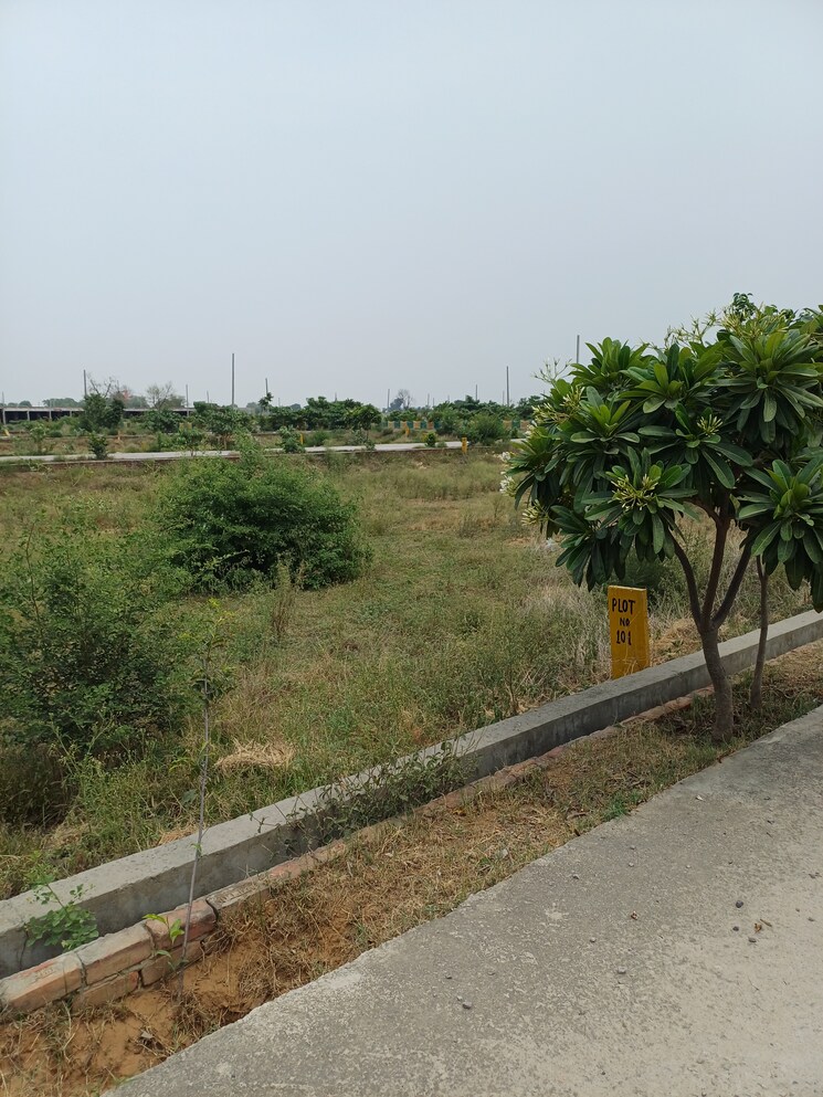 Exterior View, jewar  243 Sq.Yd. Plot In Jewar Greater Noida 8878316