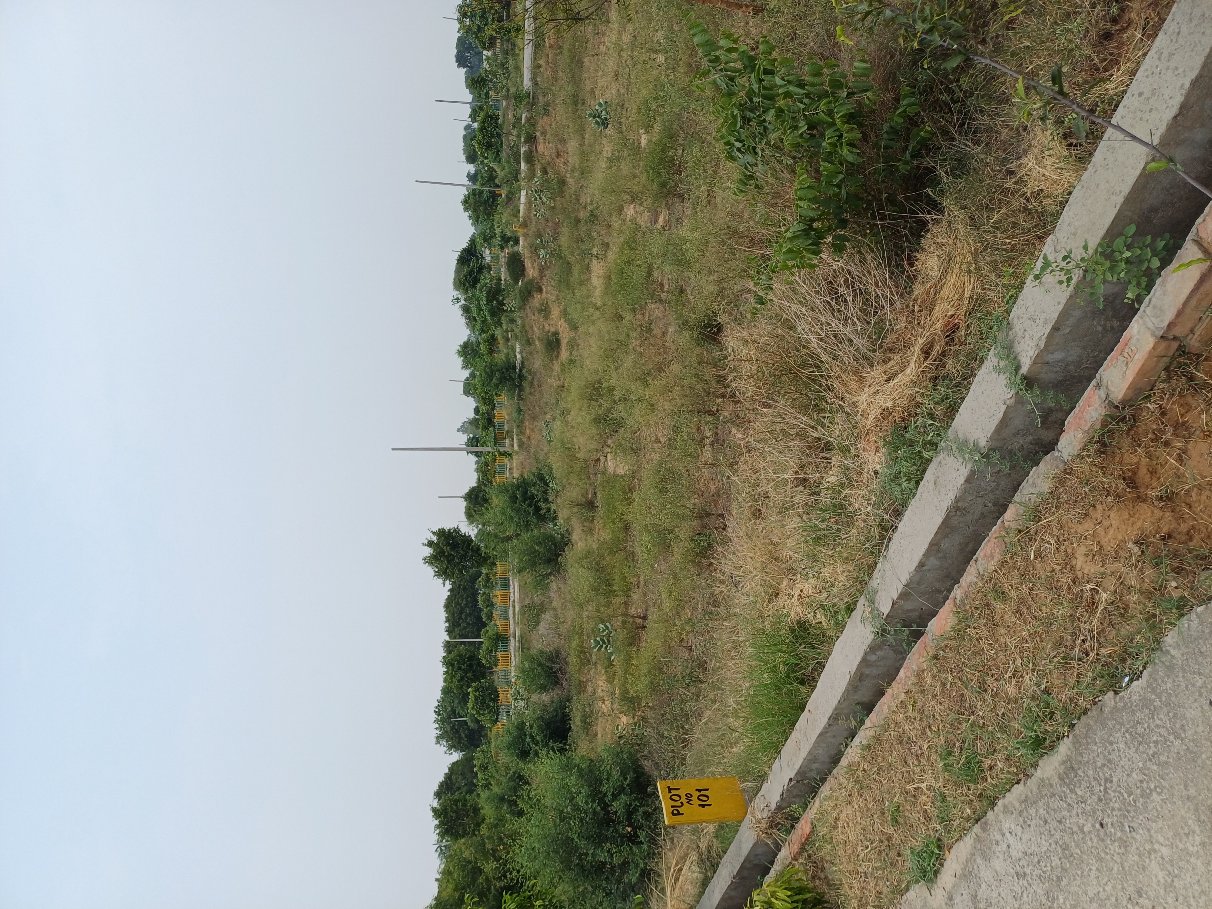 Plot For Sale in Harit City 