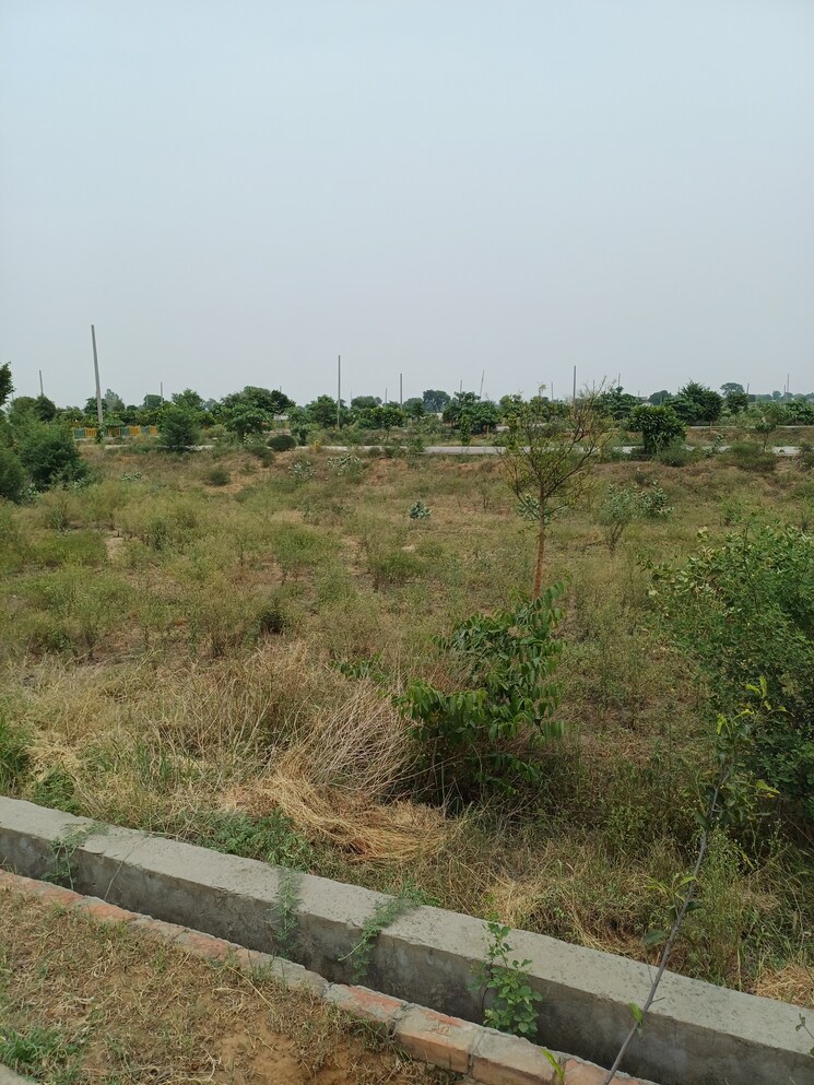 Garden, jewar  243 Sq.Yd. Plot In Jewar Greater Noida 8878316