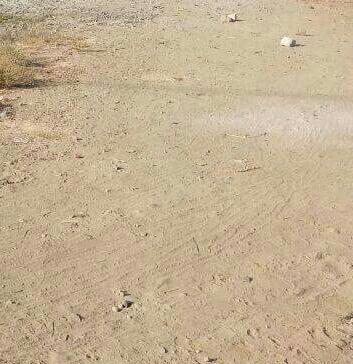 Plot For Sale in Shree Shyam Properties