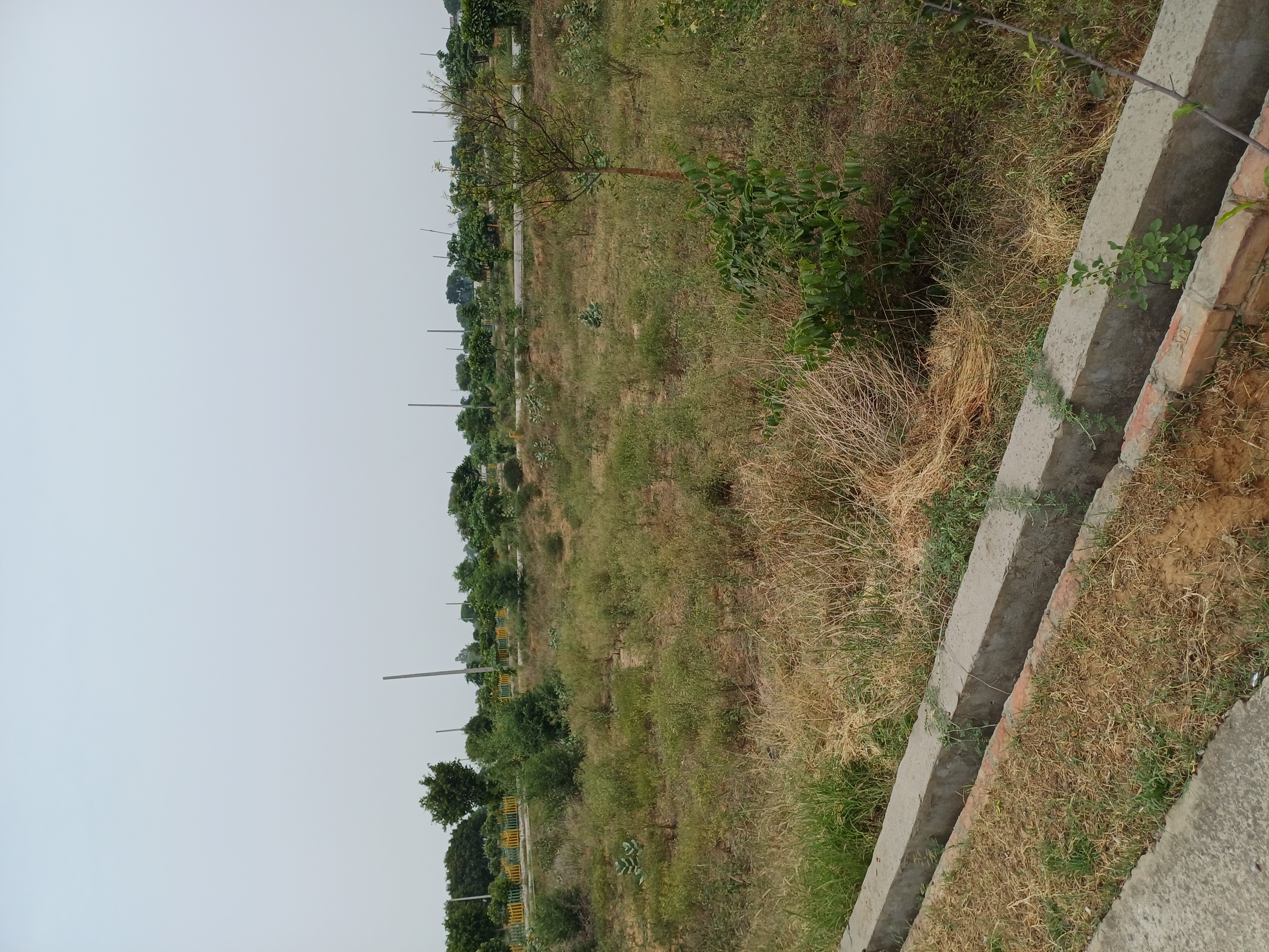Plot For Sale in Harit City 