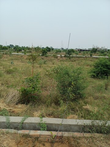  Plot – Garden View at Jewar - for Sale