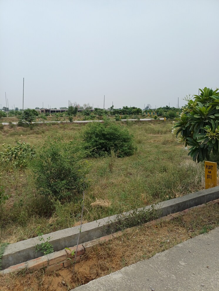 Garden, jewar  244 Sq.Yd. Plot In Jewar Greater Noida 8878362