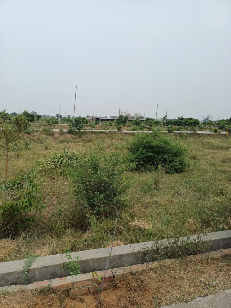 Garden, jewar  245 Sq.Yd. Plot In Jewar Greater Noida 8878529