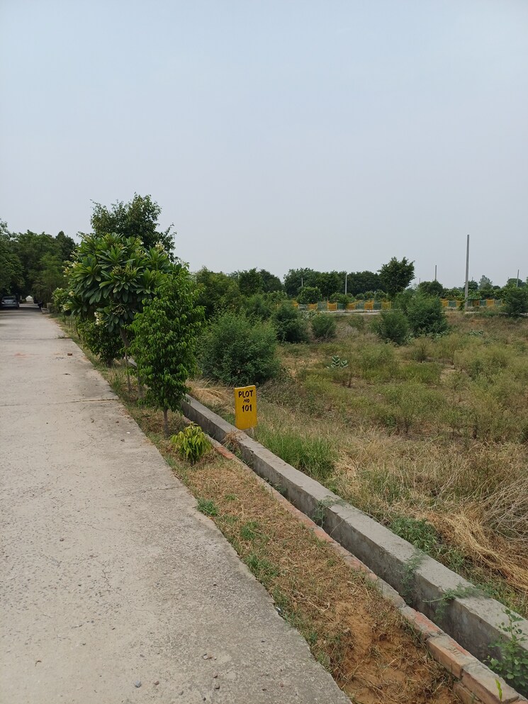 Garden, jewar  245 Sq.Yd. Plot In Jewar Greater Noida 8878529