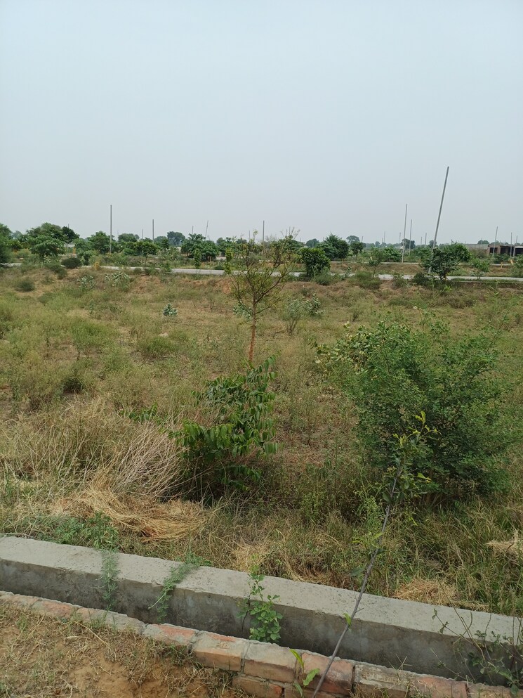 Exterior View, jewar  245 Sq.Yd. Plot In Jewar Greater Noida 8878529
