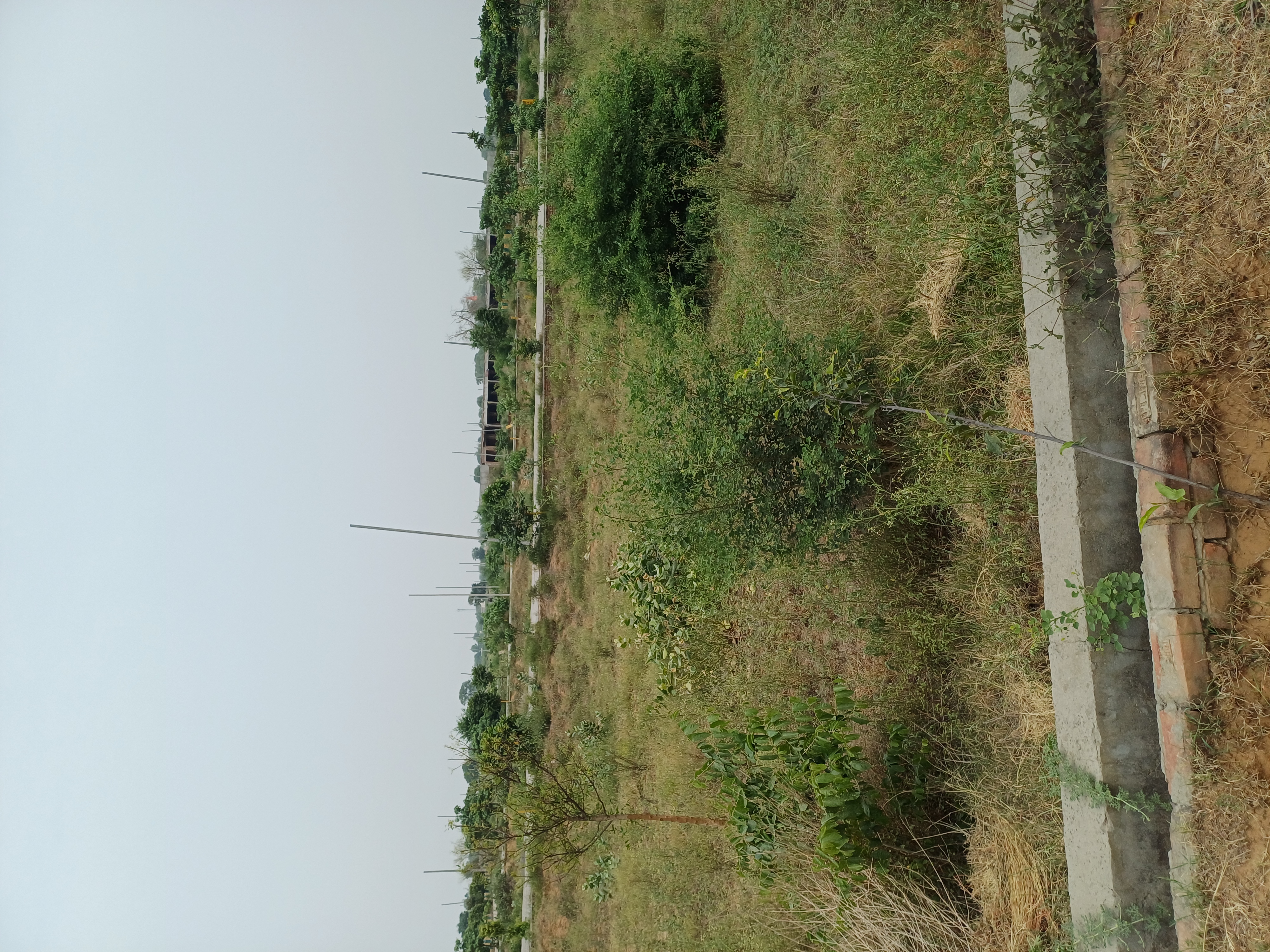 Plot For Sale in Harit City 