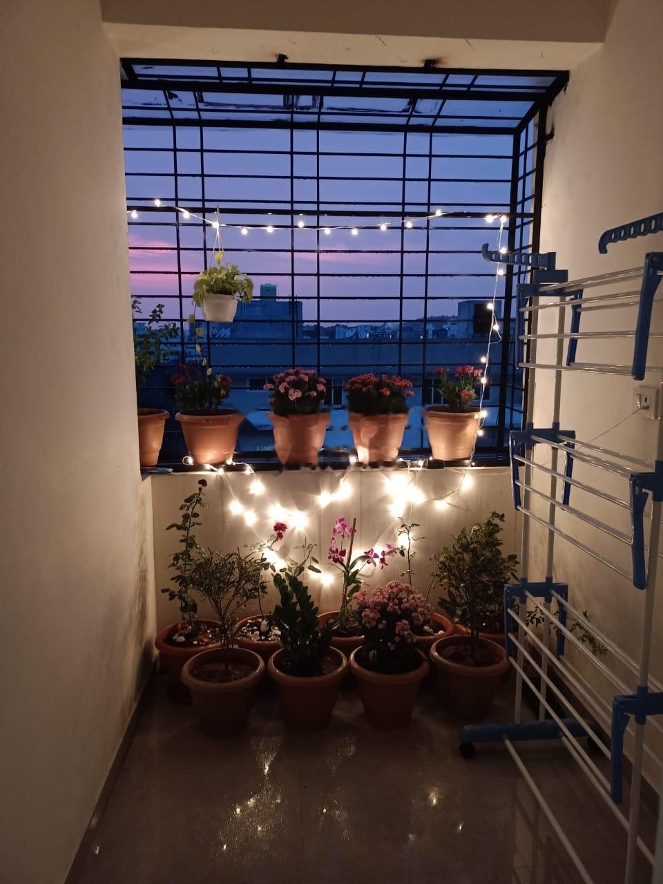 3 BHK Apartment For Rent in The Nest Manikonda