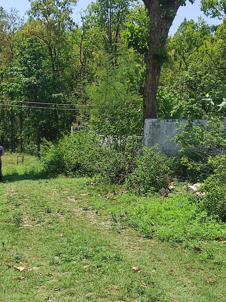 Exterior View, dhaulas  1350 Sq.Ft. Plot In Dhaulas Dehradun 8878660