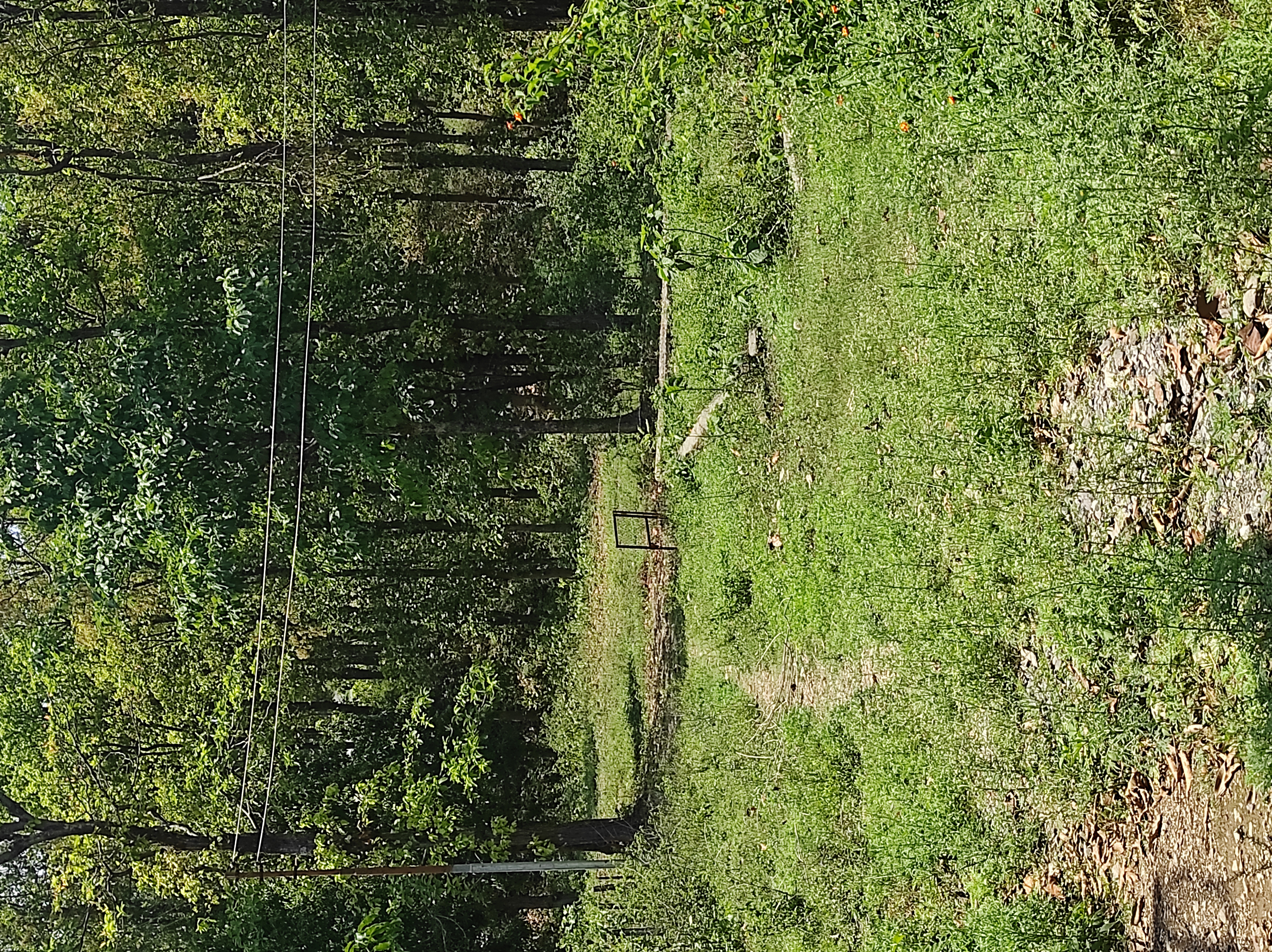 Plot For Sale in Dhaulas