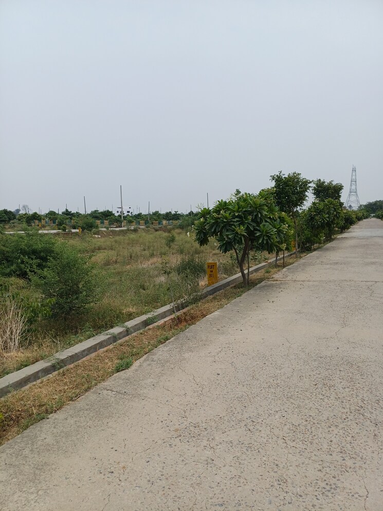 Exterior View, jewar  246 Sq.Yd. Plot In Jewar Greater Noida 8878715