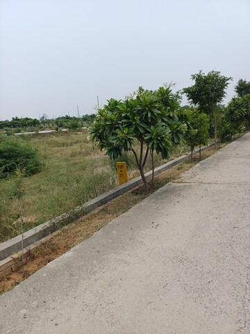  Plot For Sale in Jewar
