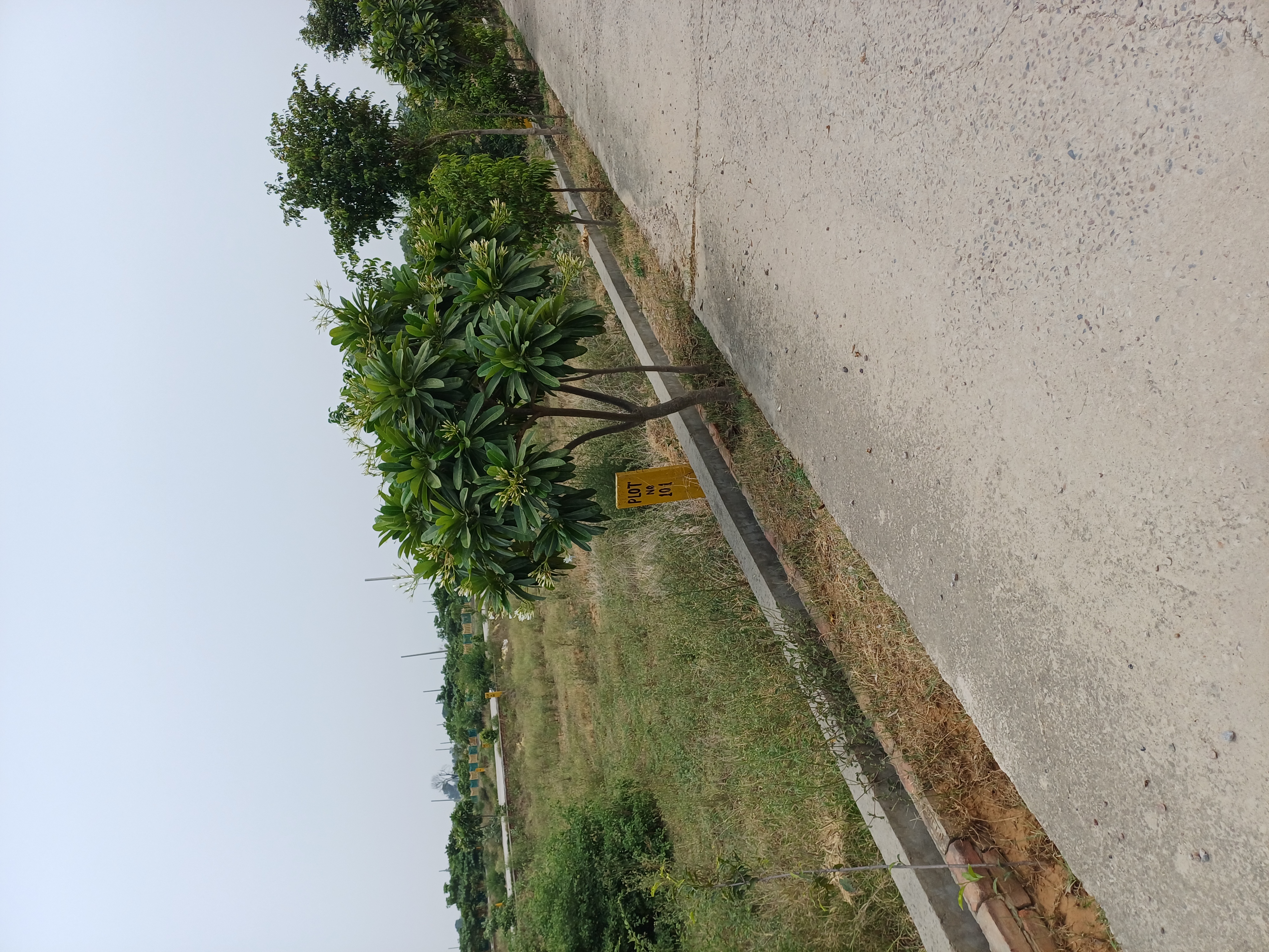 Plot For Sale in Harit City 