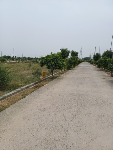  Plot – Exterior View View at Jewar - for Sale