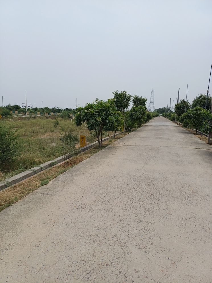 Exterior View, jewar  246 Sq.Yd. Plot In Jewar Greater Noida 8878715