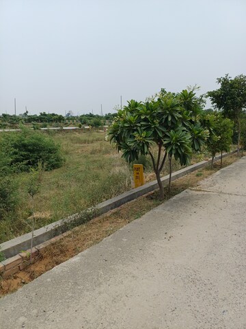  Plot For Sale in Jewar