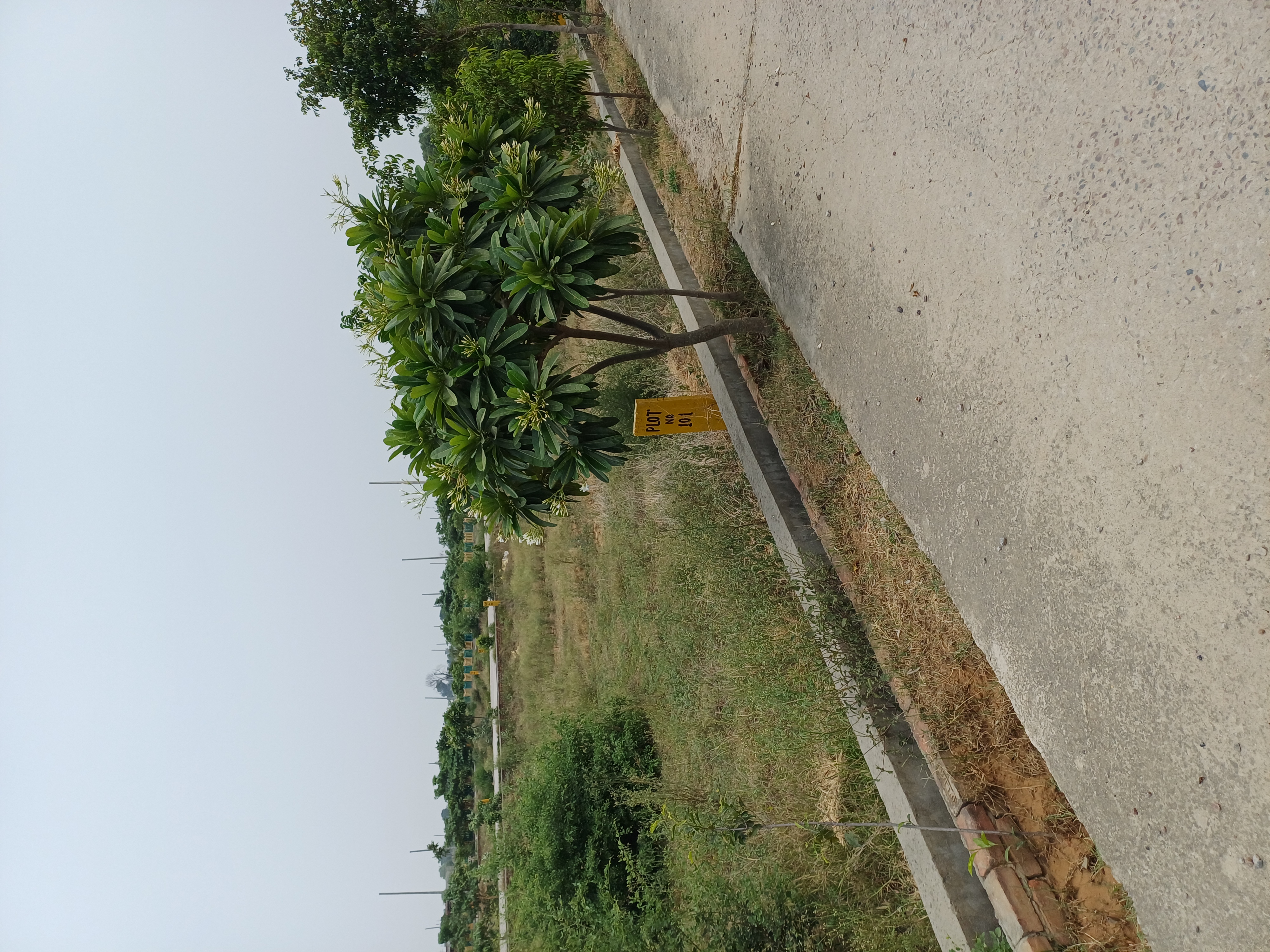 Plot For Sale in Harit City 