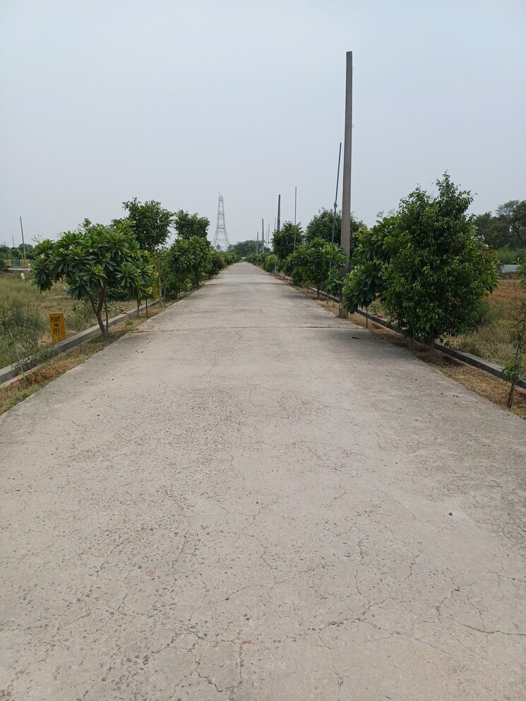 Exterior View, jewar  247 Sq.Yd. Plot In Jewar Greater Noida 8878777