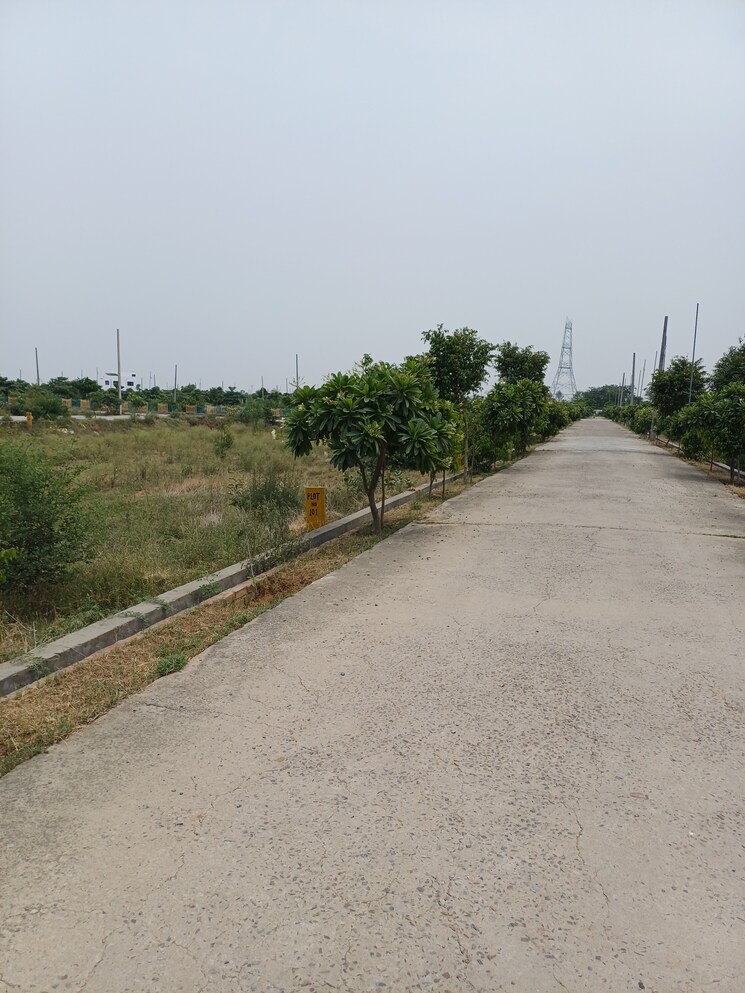 Exterior View, jewar  247 Sq.Yd. Plot In Jewar Greater Noida 8878777
