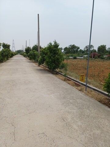 Plot – Exterior View View at Jewar - for Sale