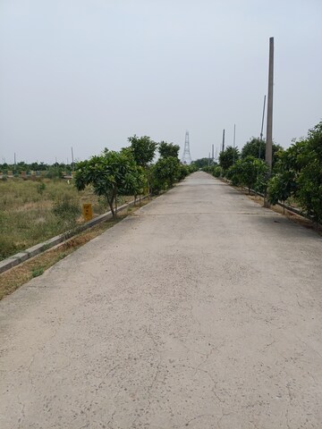  Plot – Exterior View View at Jewar - for Sale