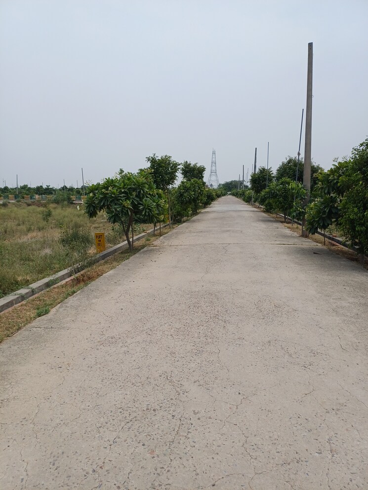 Exterior View, jewar  248 Sq.Yd. Plot In Jewar Greater Noida 8878831