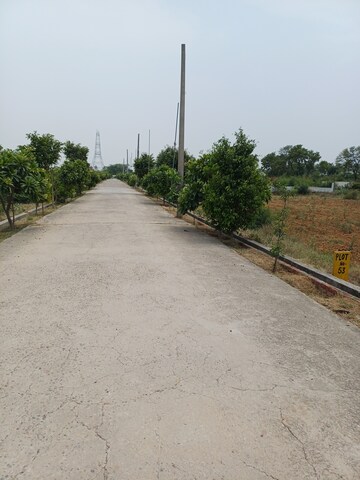  Plot – Exterior View View at Jewar - for Sale