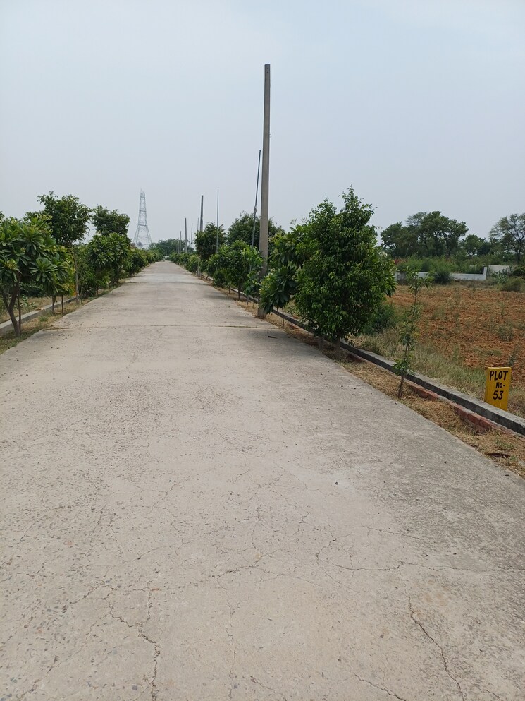 Exterior View, jewar  248 Sq.Yd. Plot In Jewar Greater Noida 8878831