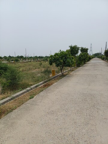  Plot For Sale in Jewar