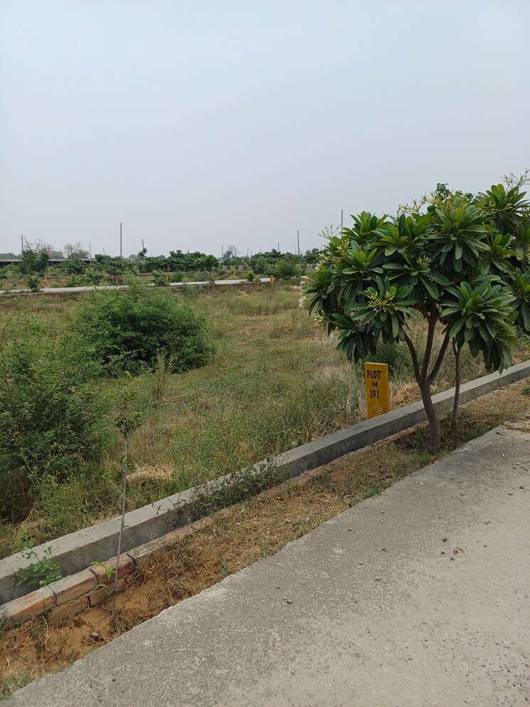 Exterior View, jewar  248 Sq.Yd. Plot In Jewar Greater Noida 8878831